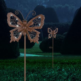 Aurinkokennovalaisin perhonen