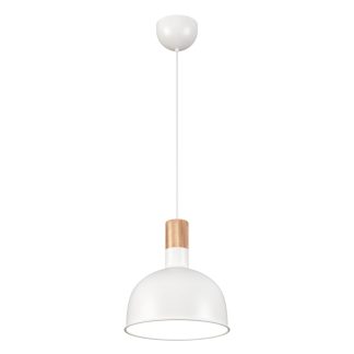 Dominica riippuvalaisin