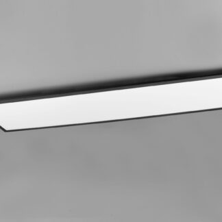 Gamma led-paneelivalaisin musta 295x1195mm, 33,5W 4200lm 2700-6500K