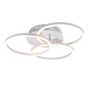 Kattovalaisin Circle mattavalkoinen trio