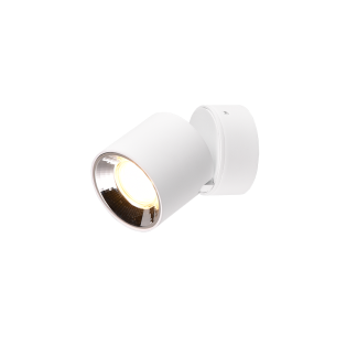 Guayana kattospotti  1-osainen