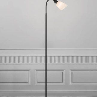 Molli lattiavalaisin musta